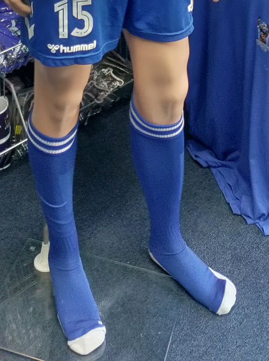 AFC Totton Socks - one size