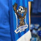 AFC Totton Scarf
